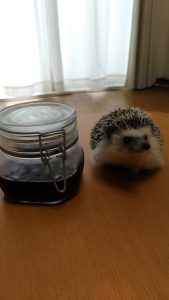 ふぉ…ふぉとじぇにっく…？